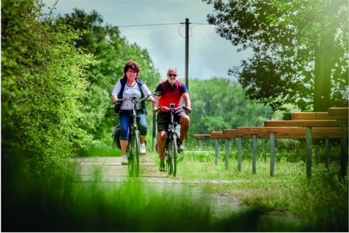 Mensen die fietsen door de natuur